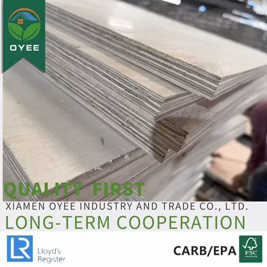 Oyee 12mm 18mm resina fenólica revestiu 100% placa de madeira compensada de bétula branca